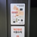 도그스타 | 남양주 애견카페 어썸브레드 도그맥스점 내단내산 주말 방문후기