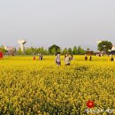 갈매광장_애비뉴거리 이미지