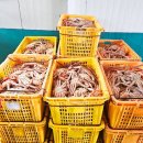 (주)유통킹 이미지