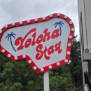 욜로하 스테이 이미지