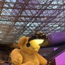 하루채 - 강서구 공항대로 222 | [스페인] 팜투어 신혼여행 day1,2 (25년10월_카타르 경유,마드리드in/라파엘오텔레스아토차 호텔)
