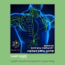 미선에스테틱 이미지