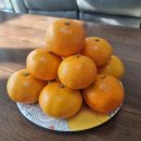 녹산농장 이미지