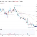 옴니에너지태양광발전소 이미지