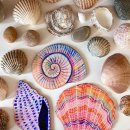 다솔유치원 이미지