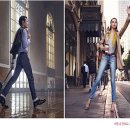 진컬렉션 이미지