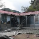 보광1리 이미지