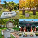 나라약국 | 대구 시내 피크닉 국채보상공원 주차장 단풍