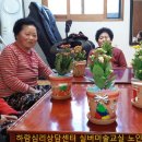 원예,미술치유 이미지