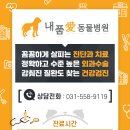 내품애동물병원 이미지