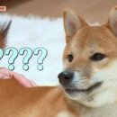 이동골프클럽 이미지