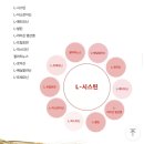 탈모예방영양제 아누카리치효능 닥터메리디안 아누카사과 비오틴 후기