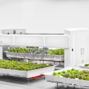 First Farm 이미지