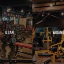 플렉스짐 이미지