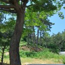 팔금농장 이미지