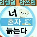 선한 인셀덤 이미지