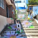 감포읍행정복지센터 | 경주 감포 가볼만한곳, 볼거리 사진명소 해국길