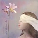 상사리(상) 네이버블로그