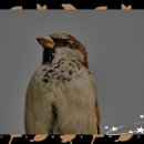 강남오피스텔 | 강남 정기청소 사무실 오피스텔 청소 이용 솔직후기