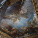 김성수행정사 이미지