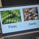 영어놀이 (초1~2) 이미지