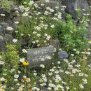 제주 알모 | [제주숙소] 구좌 에어비엔비 독채 민박_ 제주알모 솔직후기 🍊