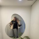 동성로형님떡볶이앤치킨 | [대구] 3박 4일간 먹으러 다녀온 후기