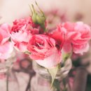 천동한의원 이미지