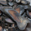 경희판교부부한의원 이미지