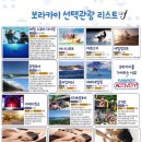 보라여행사 - 서구 둔산로 220 | 보라여행사