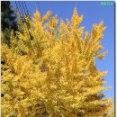 팔공컨트리클럽 이미지