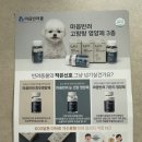 Dog&Cat | [고양이 영양제] DOG&amp;CAT 마음반려 고함량 눈 영양제