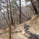 2026.04.28 정기산행(무릉계곡 피마름골, 강원/동해) 이미지