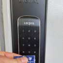 하단동1066 이미지