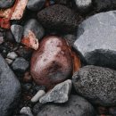 성운농장 | 빅아일랜드 여행 | 미국 숨은 보석 완벽 가이드