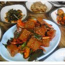 사또가든 티스토리