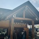 너구리의 피난처 | 대전 근교 드라이브 맛집｜금산 너구리의 피난처 방문 후기