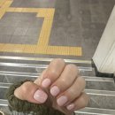 네일;브로우선
