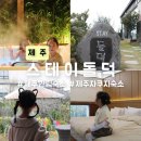 스테이돌덕 이미지