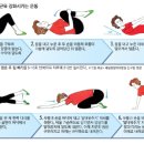피지오스 이미지