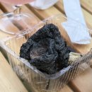 물댄동산 이미지