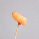 으뜸닭강정