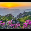상주사 - 1252 | 상주사