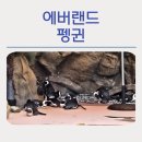 펭귄 | 에버랜드 펭귄 관람후기: 사진스팟·동선·꿀팁 총정리