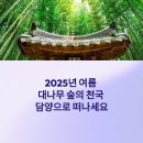 담양 죽녹원 게스트하우스 | 2025 담양 여행코스 총정리: 죽녹원 산책·대통밥 맛집·한옥 숙소 완벽 가이드