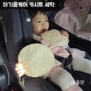 제일산업세탁 | 인천 무료 픽업 배송 유모차 카시트 세탁 아기품케어