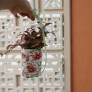 냅킨 아트 화분 만들기 | 울산 부산 경남 경북 환경원예 수업 페트병 재활용 걸이 화분 만들기 냅킨아트