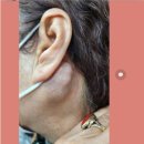 닥터발가락 이미지