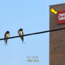 우정광고기획 전자신문