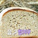 브레드영어 MBC연예